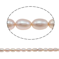 Ris odlad sötvattenspärla pärlor, Freshwater Pearl, naturlig, rosa, Grade A, 7-8mm, Hål:Ca 0.8mm, Såld Per Ca 15 inch Strand