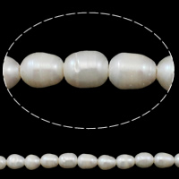 Rice ferskvandskulturperle Beads, Ferskvandsperle, Ris, naturlig, hvid, 11-12mm, Hole:Ca. 2.5mm, Solgt Per Ca. 14.7 inch Strand