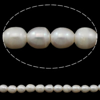 Rice Kulturan Slatkovodni Pearl perle, Riža, prirodan, bijel, 11-12mm, Rupa:Približno 3mm, Prodano Per Približno 15 inčni Strand