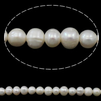 Krumpir Kulturan Slatkovodni Pearl perle, prirodan, bijel, 9-10mm, Rupa:Približno 2mm, Prodano Per Približno 15.1 inčni Strand