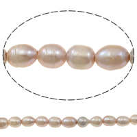 Rice Kulturan Slatkovodni Pearl perle, Riža, prirodan, ljubičasta boja, 11-12mm, Rupa:Približno 2.5mm, Prodano Per Približno 15.3 inčni Strand