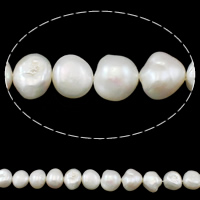 Barokní kultivované sladkovodní perle, Sladkovodní Pearl, Baroko, přírodní, bílý, 12-13mm, Otvor:Cca 0.8mm, Prodáno za Cca 15.3 inch Strand