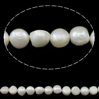 Coirníní Bharócach saothraithe Diúilicín Péarla, Pearl Fionnuisce, nádúrtha, bán, 12-13mm, Poll:Thart 0.8mm, Díolta Per Thart 15.7 Inse Snáithe