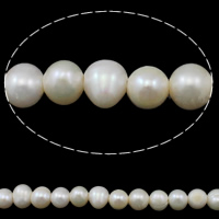 Krumpir Kulturan Slatkovodni Pearl perle, prirodan, bijel, 10-11mm, Rupa:Približno 2mm, Prodano Per Približno 15.3 inčni Strand