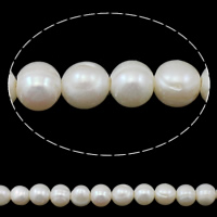 Prátaí Saothraithe coirníní Péarla Fionnuisce, Pearl Fionnuisce, nádúrtha, bán, 8-9mm, Poll:Thart 1.5mm, Díolta Per Thart 15 Inse Snáithe