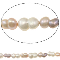 Coirníní Bharócach saothraithe Diúilicín Péarla, Pearl Fionnuisce, Calabash, nádúrtha, dathanna measctha, 12-15mm, Poll:Thart 0.8mm, Díolta Per Thart 15.7 Inse Snáithe