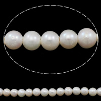 Grânulos de pérolas  cultivadas de água doce de forma redomda., Pérolas de água doce, Roda, naturais, branco, 11-12mm, Buraco:Aprox 2.5mm, vendido para Aprox 15 inchaltura Strand