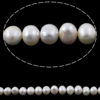 Runde ferskvandskulturperle Beads, Ferskvandsperle, Kartoffel, naturlig, hvid, 10-11mm, Hole:Ca. 0.8mm, Solgt Per Ca. 14 inch Strand