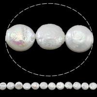 Grânulos pérolas de água doce cultivados da moeda, Botão, naturais, branco, Grade AA, 12-13mm, Buraco:Aprox 0.8mm, vendido para 15 inchaltura Strand