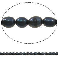 Rice ferskvandskulturperle Beads, Ferskvandsperle, Ris, naturlig, sort, klasse A, 4-5mm, Hole:Ca. 0.8mm, Solgt Per Ca. 14 inch Strand