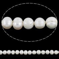 Grânulos de pérolas  cultivadas de água doce de forma redomda., Pérolas de água doce, Batata, com ondas, branco, Grade A, 10-11mm, Buraco:Aprox 0.8mm, vendido para 14 inchaltura Strand