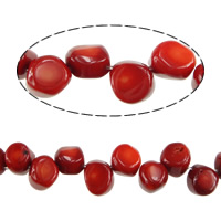 Perles en corail naturel, rouge, 12-13.5x13-16x8-11mm, Trou:Environ 0.5mm, Longueur Environ 16.5 pouce, 5Strandstoron/lot, Environ 41PC/brin, Vendu par lot