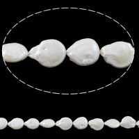 Coin ferskvandskulturperle Beads, Ferskvandsperle, naturlig, hvid, 13-14mm, Hole:Ca. 0.8mm, Solgt Per Ca. 15 inch Strand