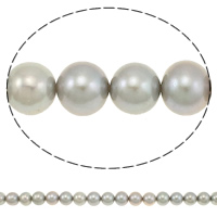 Okrugli Kulturan Slatkovodni Pearl perle, srebrno-siva, 10-11mm, Rupa:Približno 0.8mm, Prodano Per Približno 15.7 inčni Strand