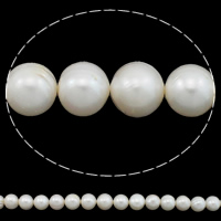 Okrugli Kulturan Slatkovodni Pearl perle, s troll, bijel, ocjena AA, 11-12mm, Rupa:Približno 0.8mm, Prodano Per Približno 15.7 inčni Strand