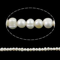 Runda odlad sötvattenspärla pärlor, Freshwater Pearl, Potatis, naturlig, vit, Grade A, 6-7mm, Hål:Ca 0.8mm, Såld Per Ca 14 inch Strand