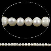 Krumpir Kulturan Slatkovodni Pearl perle, prirodan, bijel, 6-7mm, Rupa:Približno 0.8mm, Prodano Per Približno 14.2 inčni Strand