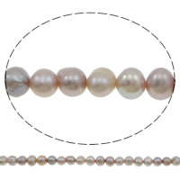 Kartoffel ferskvandskulturperle Beads, Ferskvandsperle, naturlig, lilla, 5-6mm, Hole:Ca. 0.8mm, Solgt Per Ca. 14.5 inch Strand