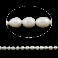 Rice ferskvandskulturperle Beads, Ferskvandsperle, Ris, naturlig, hvid, klasse A, 8-9mm, Hole:Ca. 0.8mm, Solgt Per 15 inch Strand