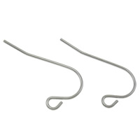 Stainless Steel Hook slangetje, Roestvrij staal, met lus, oorspronkelijke kleur, 22x12x0.70mm, 5000paren/Bag, Verkocht door Bag