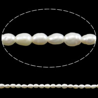 Rice Kulturan Slatkovodni Pearl perle, Riža, prirodan, bijel, 2-3mm, Rupa:Približno 0.6mm, Prodano Per Približno 15 inčni Strand