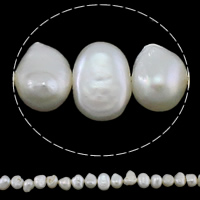 Cultured Potato Freshwater Pearl Beads natural white Grade AA 7-8mm Approx 0.8mm Sold Per 15 Inch Strand