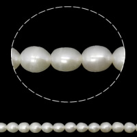 Ris odlad sötvattenspärla pärlor, Freshwater Pearl, vit, Grade A, 4-5mm, Hål:Ca 0.8mm, Såld Per Ca 14.5 inch Strand