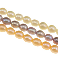 Ris odlad sötvattenspärla pärlor, Freshwater Pearl, naturlig, fler färger för val, Grade AAA, 6-7mm, Hål:Ca 0.8mm, Såld Per Ca 15 inch Strand