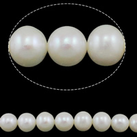 Grânulos de pérolas  cultivadas de água doce de forma redomda., Pérolas de água doce, Roda, naturais, branco, Grade AAA, 8-9mm, Buraco:Aprox 0.8mm, vendido para Aprox 15 inchaltura Strand