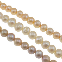 Krumpir Kulturan Slatkovodni Pearl perle, prirodan, više boja za izbor, 12-15mm, Rupa:Približno 0.8mm, Prodano Per Približno 15 inčni Strand