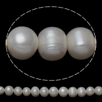 Kartoffel ferskvandskulturperle Beads, Ferskvandsperle, naturlig, hvid, 7-8mm, Hole:Ca. 0.8mm, Solgt Per Ca. 16 inch Strand