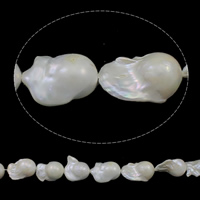 Perles de nacre de culture d'eau douce nucléées, perle nucléée de culture d'eau douce, baroque, naturel, blanc, 18-20mm, Trou:Environ 0.8mm, Vendu par Environ 15.7 pouce brin