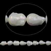 Slatkovodni Kulturan jezgrom Pearl perle, Kulturan Slatkovodni jezgrom Pearl, Keishi, prirodan, bijel, Razred AAA, 13-18mm, Rupa:Približno 0.8mm, Prodano Per Približno 15.7 inčni Strand