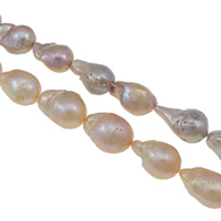 Slatkovodni Kulturan jezgrom Pearl perle, Kulturan Slatkovodni jezgrom Pearl, Keishi, prirodan, više boja za izbor, Razred AAA, 15-18mm, Rupa:Približno 0.8mm, Prodano Per Približno 15.7 inčni Strand