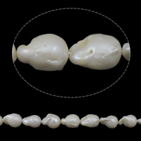 Slatkovodni Kulturan jezgrom Pearl perle, Kulturan Slatkovodni jezgrom Pearl, Keishi, prirodan, bijel, ocjena AA, 13-15mm, Rupa:Približno 0.8mm, Prodano Per Približno 15.7 inčni Strand