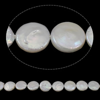 Cultured Coin Freshwater Pearl Beads natural white Grade AAA 14-15mm Approx 0.8mm Sold Per Approx 15.3 Inch Strand