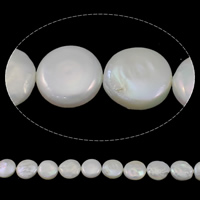 Coin Kulturan Slatkovodni Pearl perle, Novčić, prirodan, bijel, Razred AAA, 13-14mm, Rupa:Približno 0.8mm, Prodano Per Približno 15.3 inčni Strand