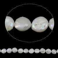 Coin Kulturan Slatkovodni Pearl perle, Novčić, prirodan, bijel, Razred AAA, 11-12mm, Rupa:Približno 0.8mm, Prodano Per Približno 15.3 inčni Strand