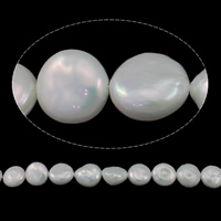 Coin odlad sötvattenspärla pärlor, Freshwater Pearl, naturlig, vit, Grade AA, 12-13mm, Hål:Ca 0.8mm, Såld Per Ca 15.3 inch Strand