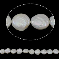 Grânulos pérolas de água doce cultivados da moeda, naturais, branco, Grade AA, 13-14mm, Buraco:Aprox 0.8mm, vendido para Aprox 15.3 inchaltura Strand