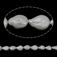 Coirníní Keishi saothraithe Diúilicín Péarla, Pearl Fionnuisce, Teardrop, nádúrtha, bán, Grád A, 11-12mm, Poll:Thart 0.8mm, Díolta Per Thart 15.3 Inse Snáithe