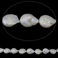 Coin odlad sötvattenspärla pärlor, Freshwater Pearl, naturlig, vit, Grade A, 13-14mm, Hål:Ca 0.8mm, Såld Per Ca 15.3 inch Strand