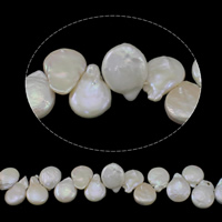 Coin Kulturan Slatkovodni Pearl perle, Novčić, prirodan, bijel, ocjena AA, 13-14mm, Rupa:Približno 0.8mm, Prodano Per Približno 15.3 inčni Strand