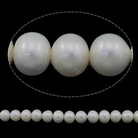 Button Gekweekte Zoetwater Parel kralen, Knop, natuurlijk, wit, Grade AAA, 9-10mm, Gat:Ca 0.8mm, Per verkocht Ca 15 inch Strand