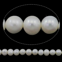 Grânulos pérolas cultivads de água doce, Pérolas de água doce, Batata, naturais, branco, Grade AA, 8-9mm, Buraco:Aprox 0.8mm, vendido para Aprox 15 inchaltura Strand