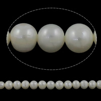 Grânulos pérolas cultivads de água doce, Pérolas de água doce, Batata, naturais, branco, Grade AA, 7-8mm, Buraco:Aprox 0.8mm, vendido para Aprox 15 inchaltura Strand