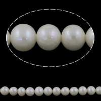 Grânulos pérolas cultivads de água doce, Pérolas de água doce, Batata, naturais, branco, Grade AAA, 7-8mm, Buraco:Aprox 0.8mm, vendido para Aprox 15 inchaltura Strand