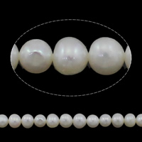 Krumpir Kulturan Slatkovodni Pearl perle, prirodan, bijel, Razred AAA, 6-7mm, Rupa:Približno 0.8mm, Prodano Per Približno 15 inčni Strand