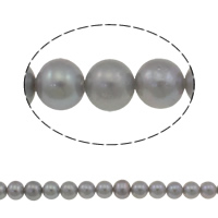 Perles nacres pommes de terre de culture d'eau douce, perle d'eau douce cultivée, pomme de terre, gris, grade AAA, 7-8mm, Trou:Environ 0.8mm, Vendu par Environ 15 pouce brin