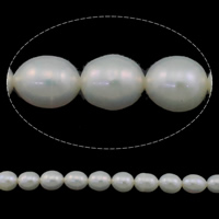 Rice Kulturan Slatkovodni Pearl perle, Riža, prirodan, bijel, ocjena, 7-8mm, Rupa:Približno 0.8mm, Prodano Per Približno 15 inčni Strand